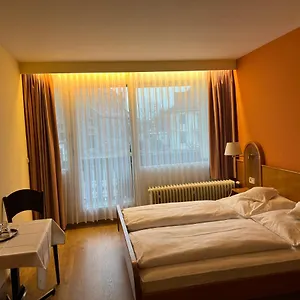 hotel-schwan.hotelsheidelberg.net/